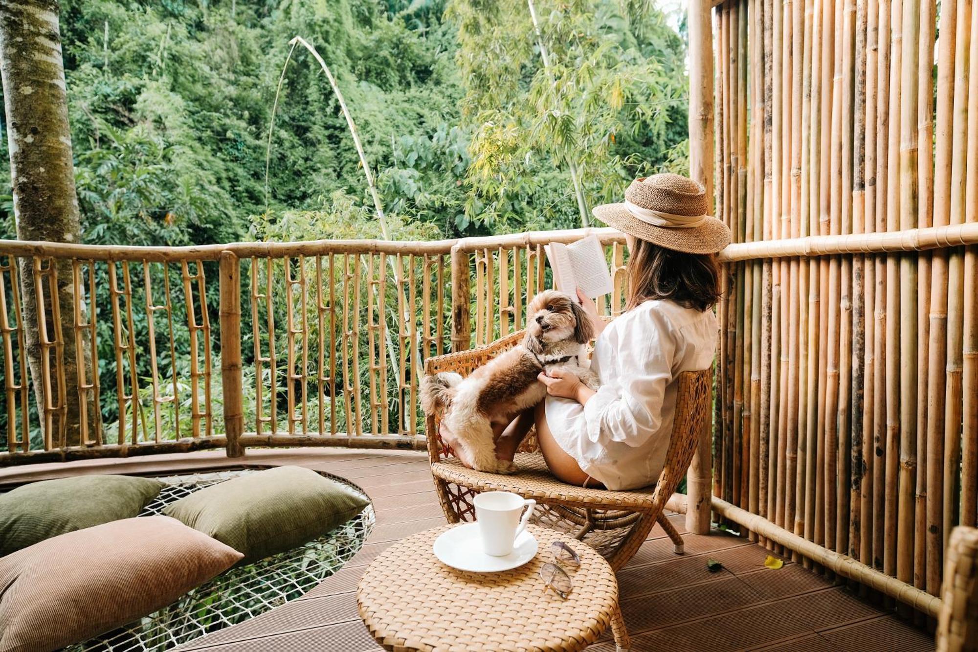 Treehouse De Valentine Balamban Exterior foto